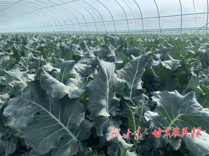 1666607190622286.jpeg GetAttachment.do-17.jpeg