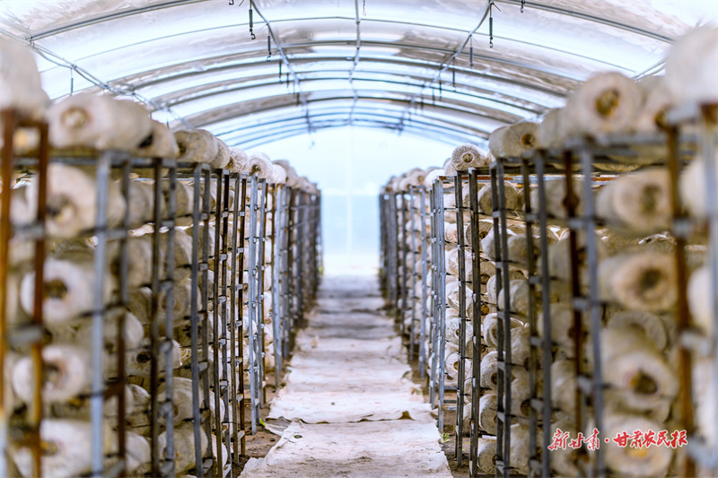 1702346400801785.jpg GetAttachment (3).jpg