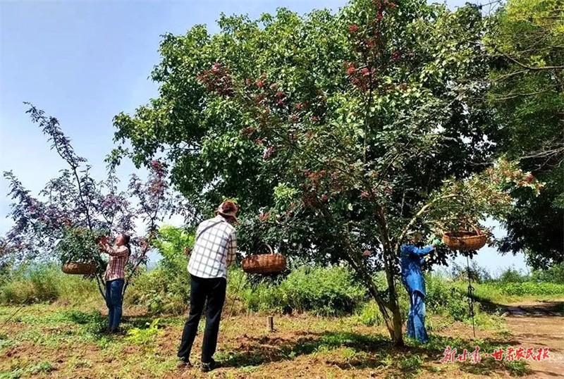 1702888542248255.jpg GetAttachment.jpg