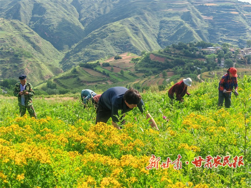 1751583627732541.jpg 1751532520036041419.jpg