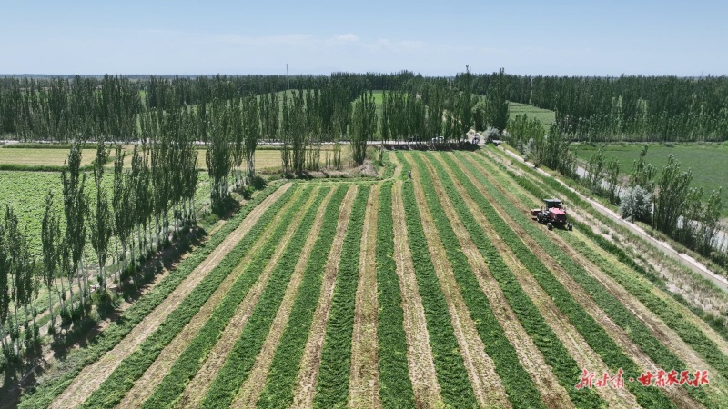 1753670945464765.jpg 微信圖片_20250725153751.jpg