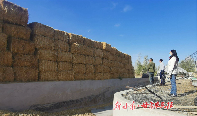 1756086633634308.jpg gz1.jpg