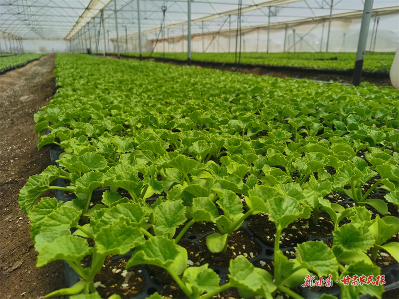 微信圖片_20250716185200