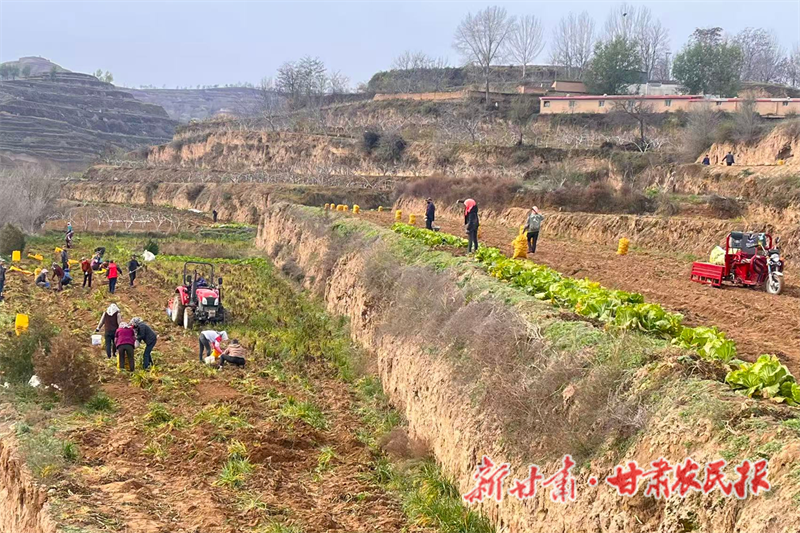 1763976395914680.png 1763720687015020157.png