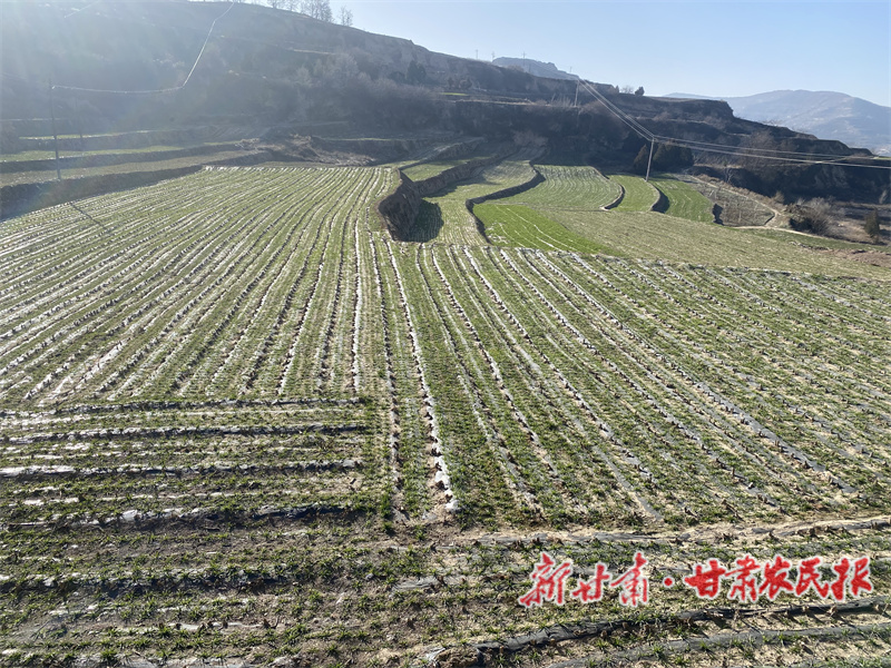 1764755622603695.jpg 1764676125320075008.jpg