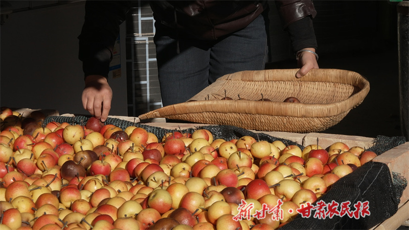 1764756315363395.jpg 1764675851584096039.jpg