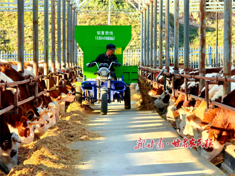 1765775307620046.jpg 1765774237313001218.jpg