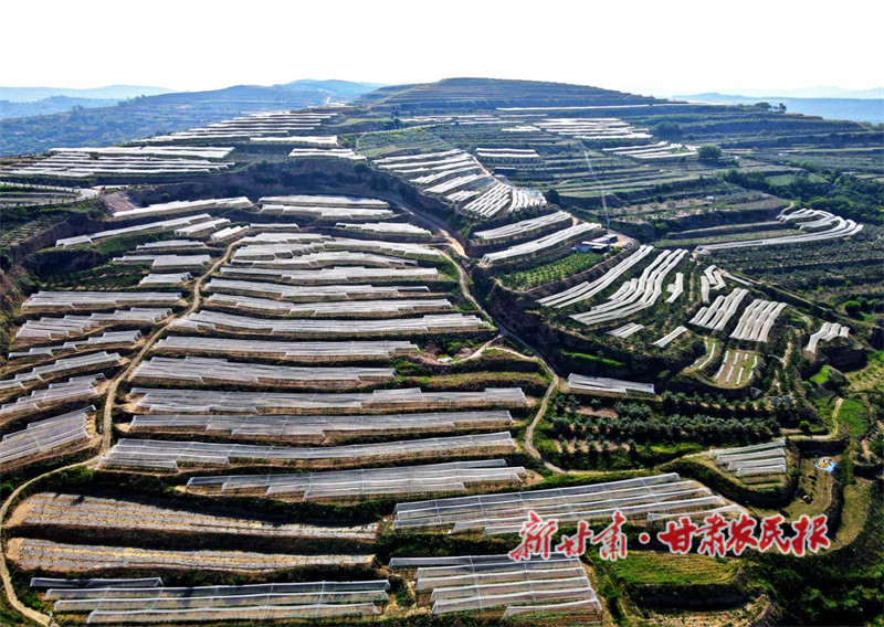 1765782409234215.png 1765505579957073130.png